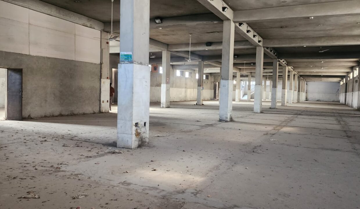 WhatsApp Image 2026-02-04 at 10.32.05 AM (2)