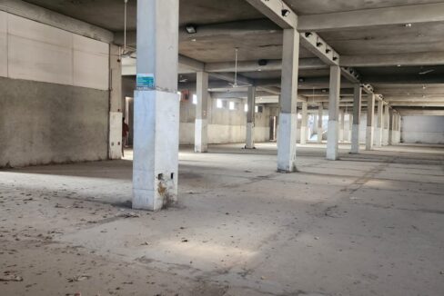 WhatsApp Image 2026-02-04 at 10.32.05 AM (2)