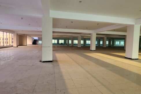 WhatsApp Image 2026-01-09 at 9.50.48 AM