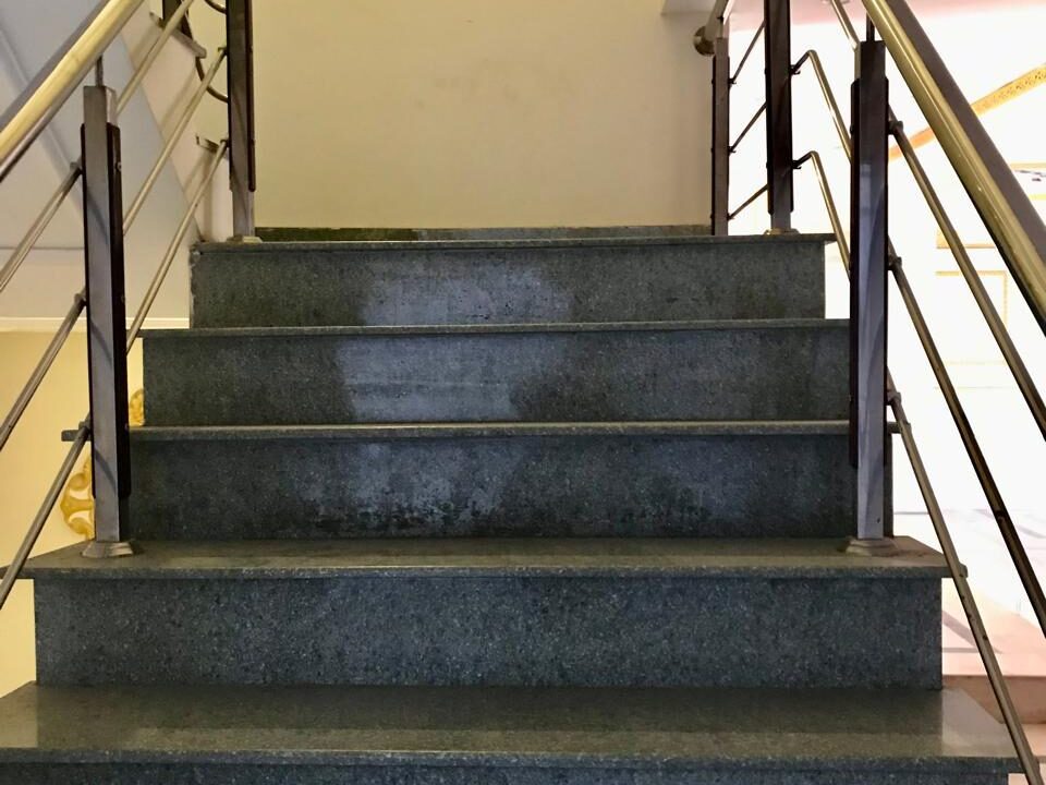 WhatsApp Image 2026-02-17 at 8.12.16 PM